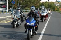 Petrfazer, Dubis, Leoš...