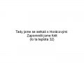 351ded08a2ca6d4a3f00c5ff654b7e68.jpg