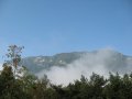 467367b71e0b2fe662999f873187ec12.jpg